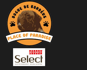 Cplaceofparadise